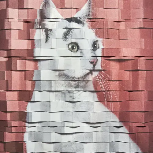 A photograph of a cat that has been cut into strips and folded, then reassembled.