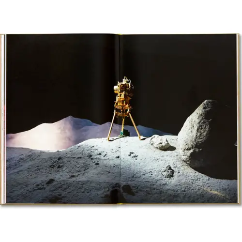 Lisa Barnard: The Canary and The Hammer book cover