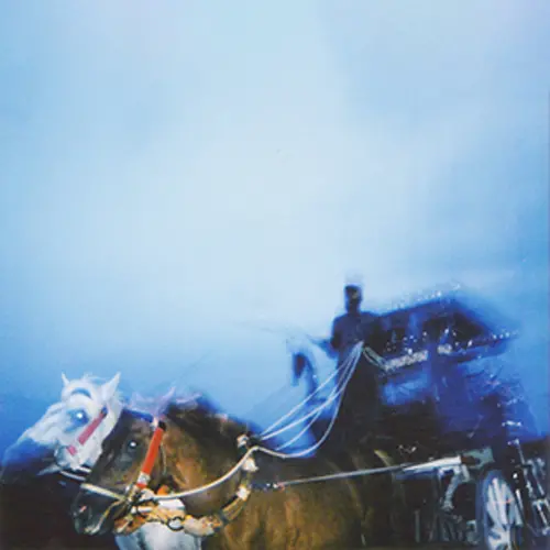 A colour photograph of a horse-drawn carriage in movement.