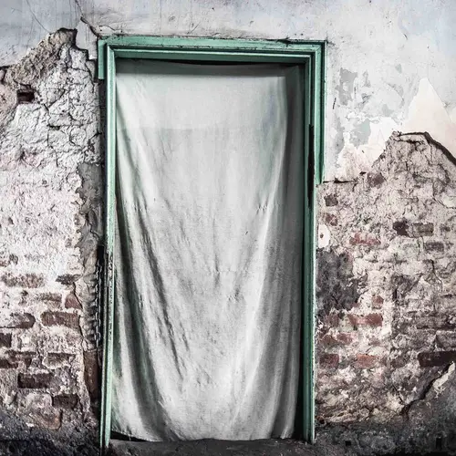 Gilded Decay, from the series 'All that Glitters is not Gold’ 	2019	 © Amilton Neves