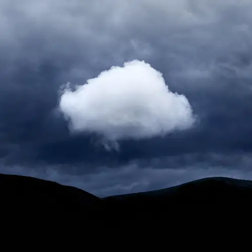 Untitled, Garden Route	2020	 © Anke Loots