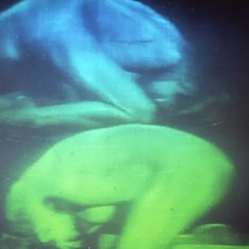 Compton's Buttocks, Etc, 1978. Edition 1 of 6. Integral. 4 x 10" x 10" film in perspex. Courtesy Center for Advanced Visual Studies Special Collection, MIT Program in Art, Culture and Technology (ACT).