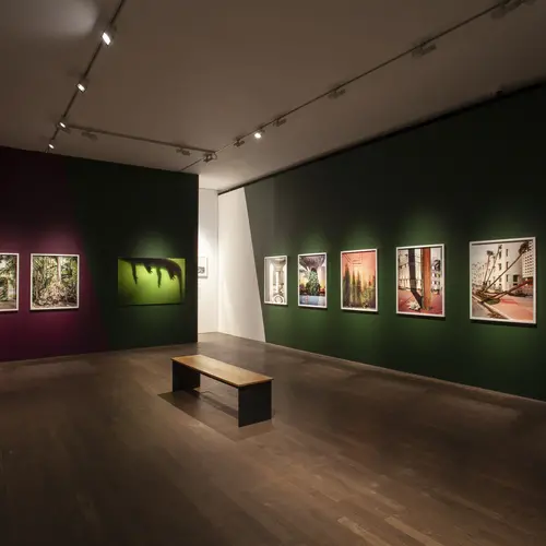 DBPFP22's shortlisted artist: Anastasia Samoylova's exhibition: FloodZone at the photographers gallery