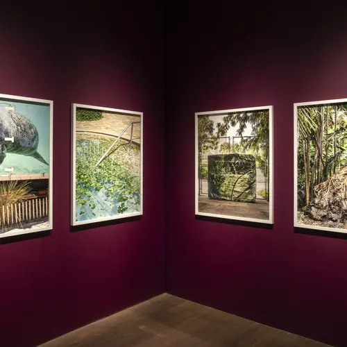 DBPFP22's shortlisted artist: Anastasia Samoylova's exhibition: FloodZone at the photographers gallery