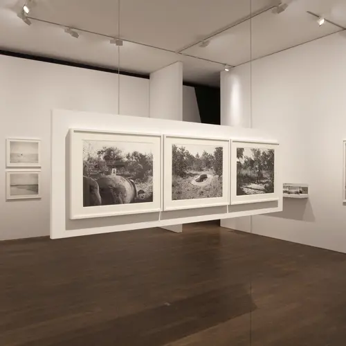 jo ractliffe's Exhibition at the photographers gallery