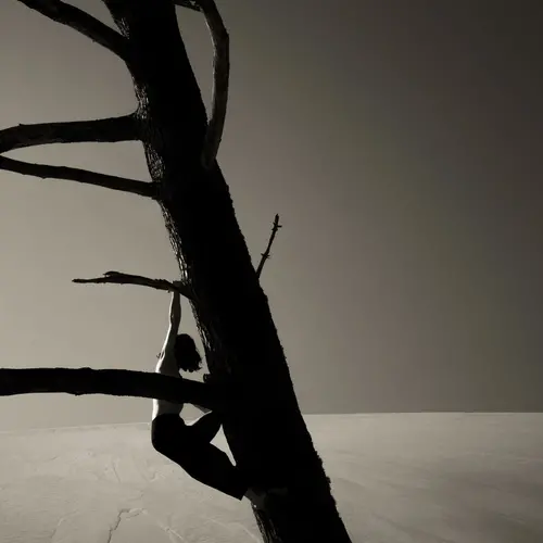 A black and white image of naked tree shrouded dramatically in shadow. A woman is seen clingin gto a branch with her feet braced against the trunk.