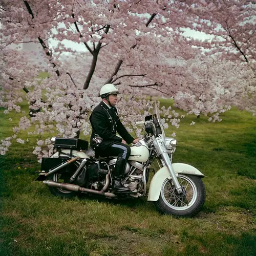 Colour photograph of man sat on motorbike with tree in blossom in background