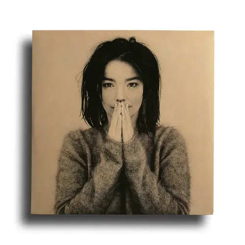 Bjork album cover at the photographers gallery