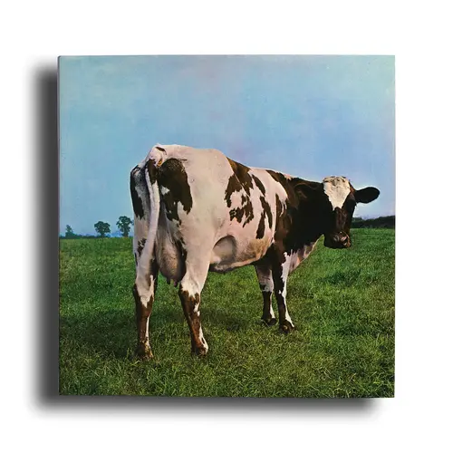 Pink Floyd, Atom Heart Mother album cover at the photographers' gallery