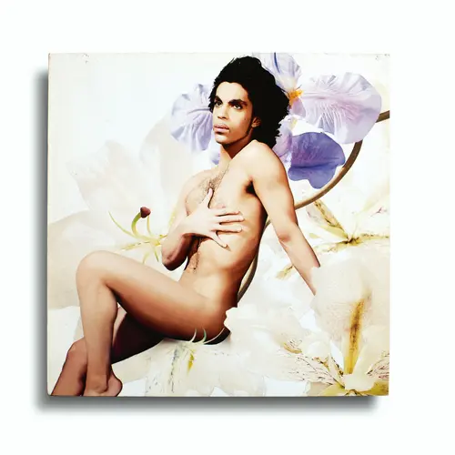 prince lovesexy album cover at the photographers 