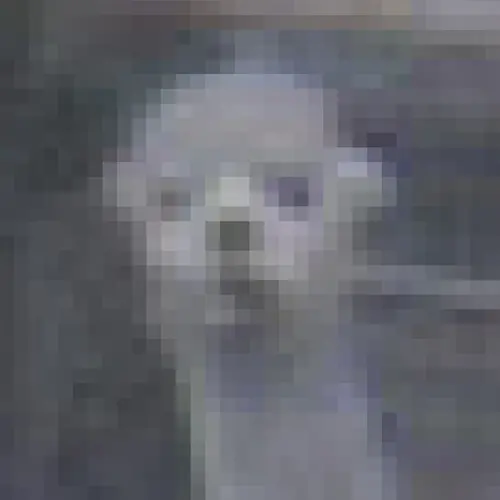 A heavily pixelated close up photograph of the head of a llama