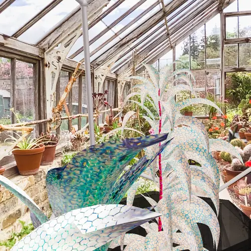 Lightly coloured virtual plants sit in the foreground of a real greenhouse