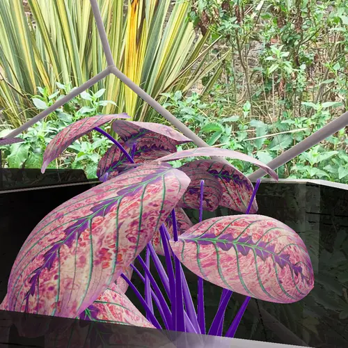 Virtual pink leaved potted plant with a background of real green bushes