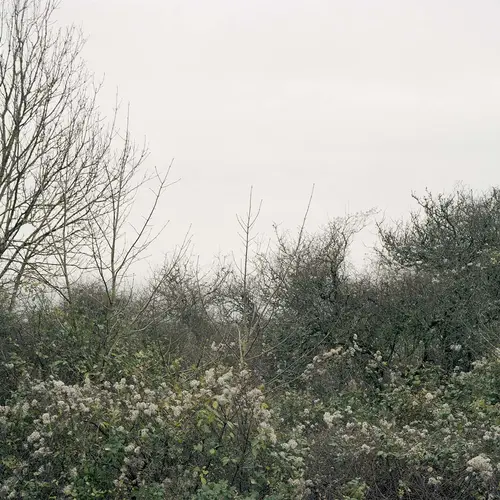 Guy Moreton, JH002, Longstone, Isle of Wight, From the series Jacquetta Hawkes, 2018