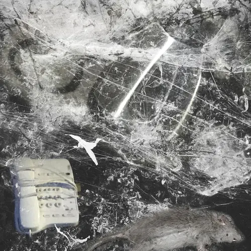 Result from workshop.