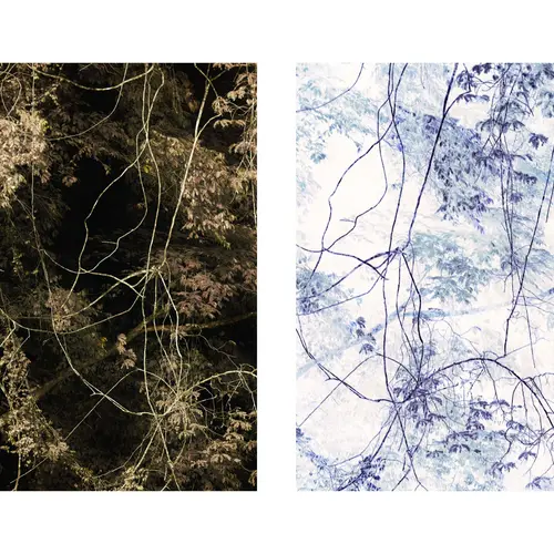 Diptych double, from the series 'Primordial Earh'	2019	 © Léonard Pongo