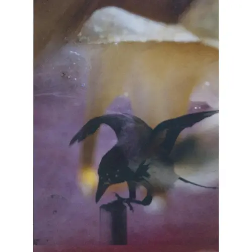 Stephen Gill: Magnificent Failure Poster