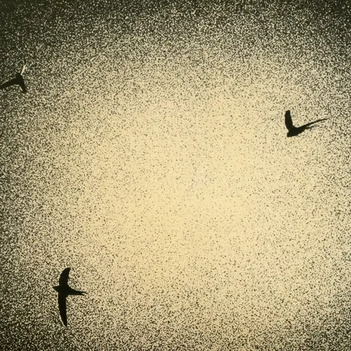 Birds against grainy background