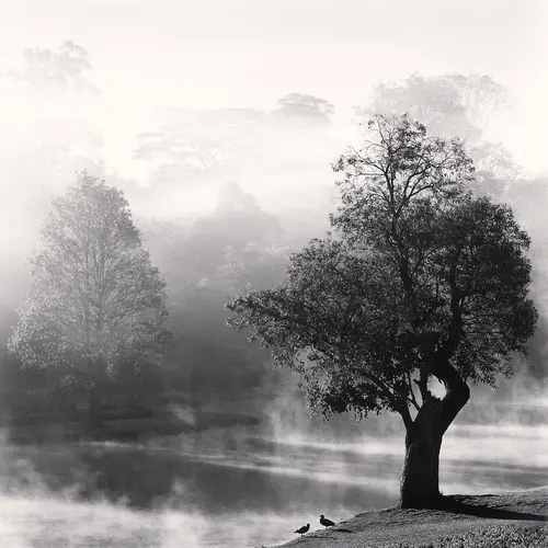 A black and white hazy landscape of a misty river from the view of a grassy bank. A singular tree stands in the foreground in the watery morning light.