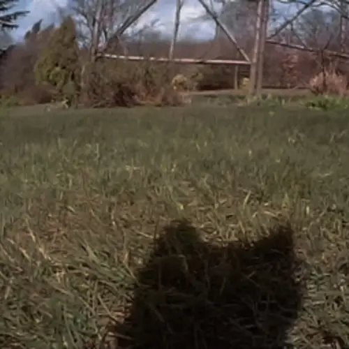 A pixelated colour photograph of a field and the shadow of the head of an animal