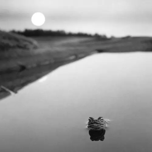 Moon over a lake in black and white