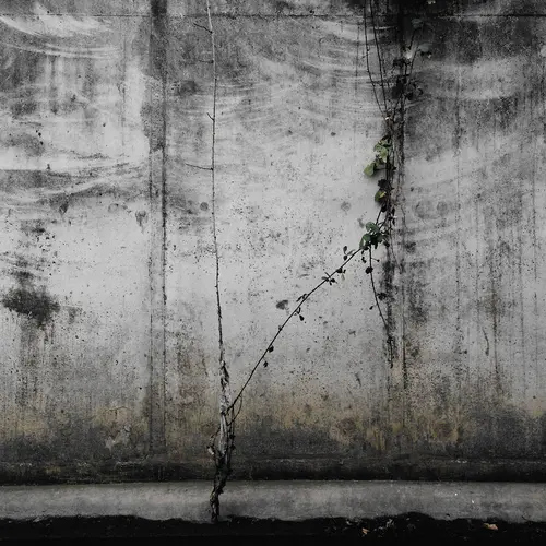 Image from the series Zone of Transit by Peter Ainsworth, 2010-2013