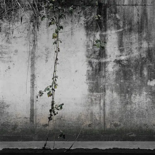 Image from the series Zone of Transit by Peter Ainsworth, 2010-2013