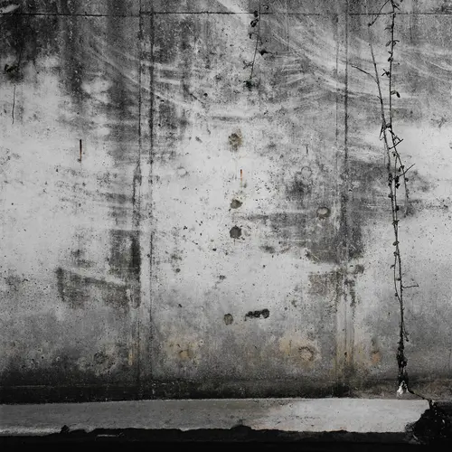 Image from the series Zone of Transit by Peter Ainsworth, 2010-2013