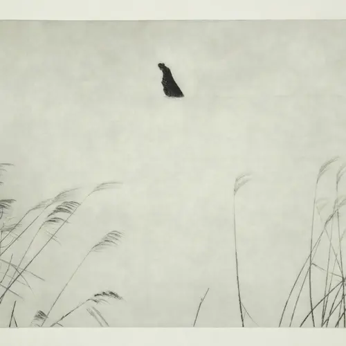 Photograph depicting a small hunched silhouetted figure against a vast, pale background. Tall grasses frame the bottom corners of the image.
