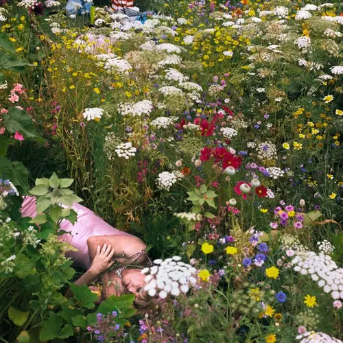 Colour photograph of a person laying in a garden surround by flowers and plants
