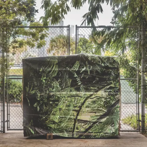 Anastasia Samoylova, Camouflage, 2017