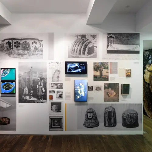 A wall full of screens, posters and books relating to bees