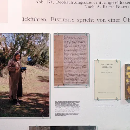 A close up of material mounted on a wall, including photographs, books and images from an archive on beekeeping
