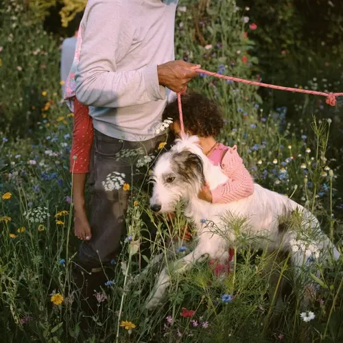 Colour photograph of a person holding a dog on a lead in a garden surrounded by plants and flowers