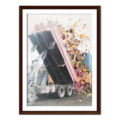 Stephen Gill: Hackney Flowers Poster