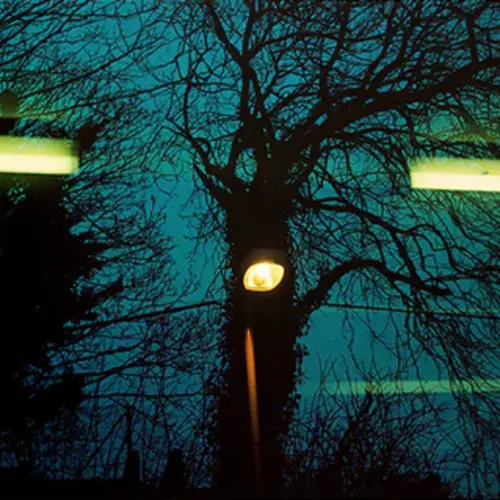 Photo by Effie Paleologou