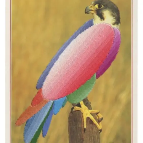 Postcard of a bird against a yellow background with colourful embroidered shapes over its body.