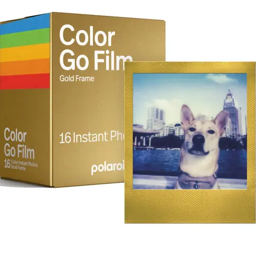 Gold framed polaroid film