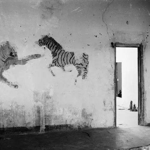 Jo Ractliffe, Mural in an abandoned schoolhouse, Cauvi, 2010 from the series As Terras do Fim do Mundo © Jo Ractliffe