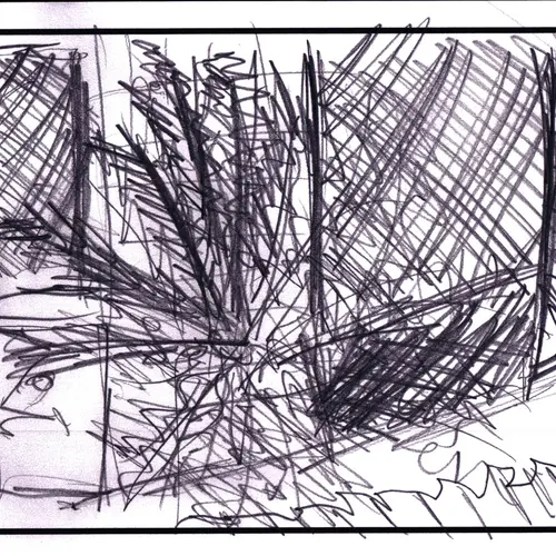 postcard with drawing of palm fronds