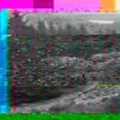 A glitched black and white landscape video still