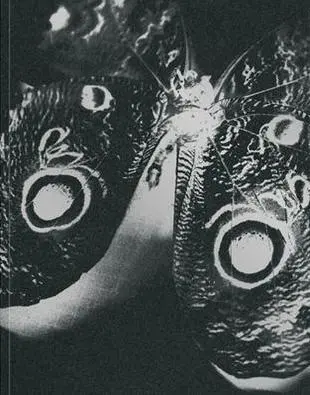 Front cover of book.