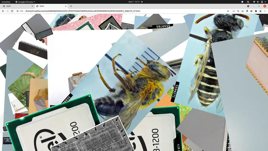 Screenshot of multiple overlaid thumbnails of bees and microprocessors