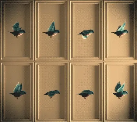 A grid of 3D rendered birds flapping their wings