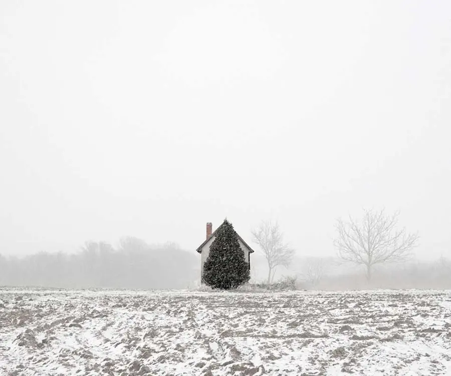 Tree and house in snow