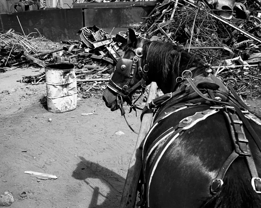 An image by Jo Ratcliffe