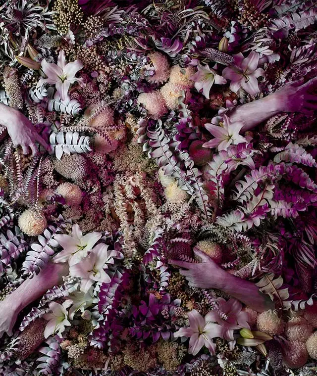 Christian Thompson, Being Human Human Being , 2022. Commissioned by Photo Australia for PHOTO 2022 International Festival of Photography Courtesy the artist and Sarah Scout Presents, Melbourne