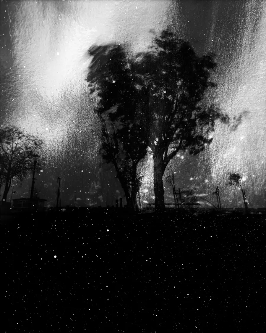 A black and white silhouette of a tree in an open field