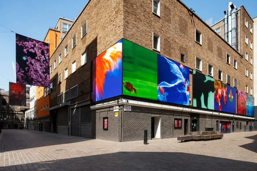 Photograph of a street, Soho Photography Quarter, showcasing Ninagawa's work in London
