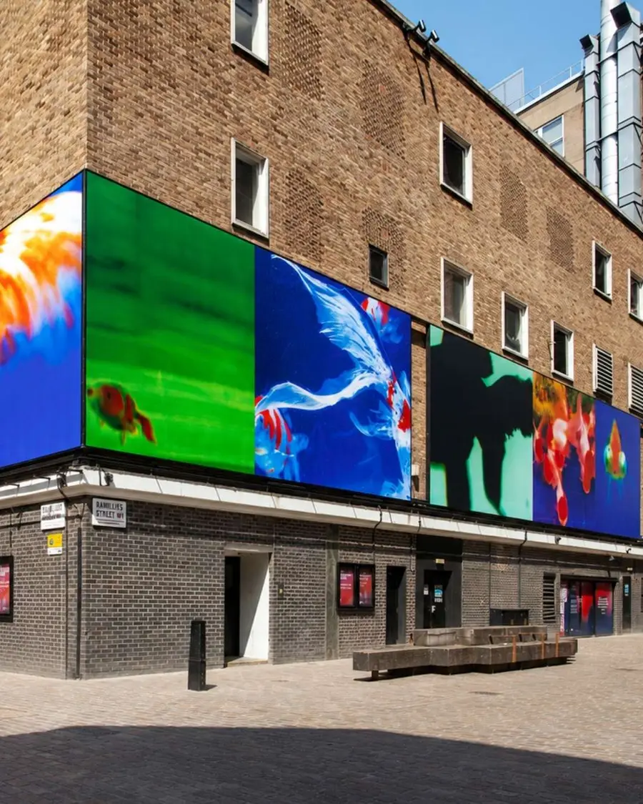 Photograph of a street, Soho Photography Quarter, showcasing Ninagawa's work in London